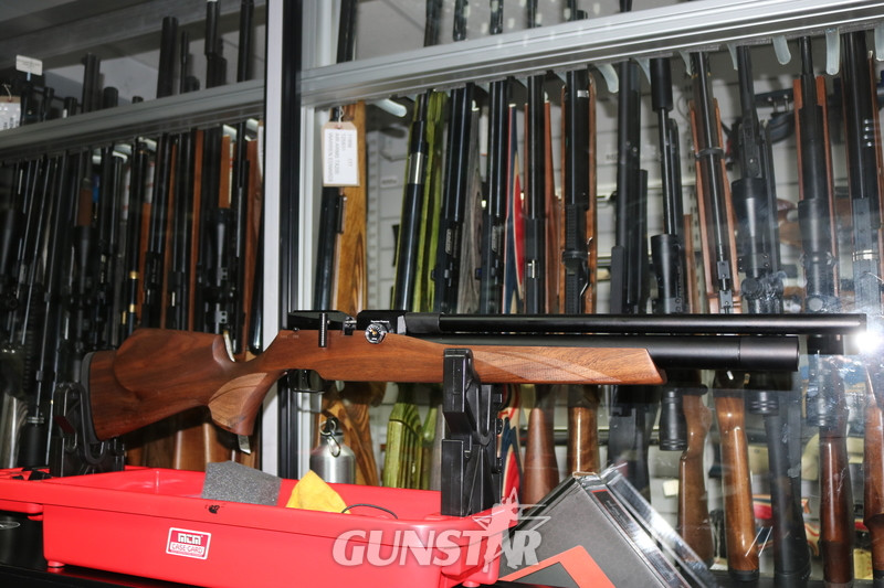 FX Airguns DREAMLINE CLASSIC .22 in 