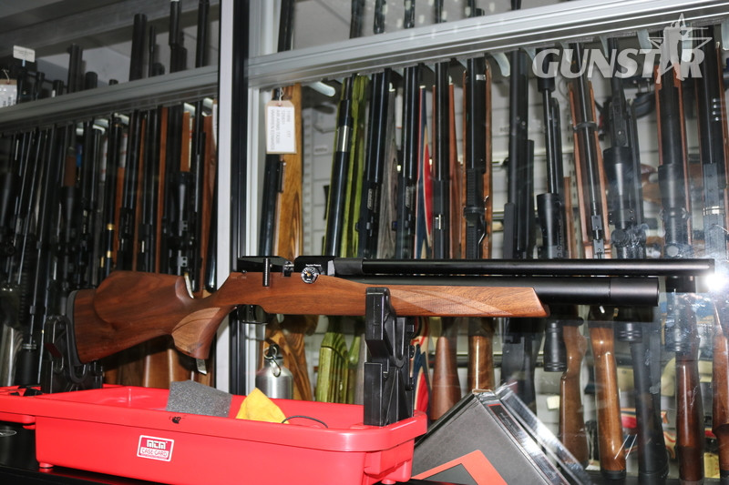 FX Airguns DREAMLINE CLASSIC .22 in 
