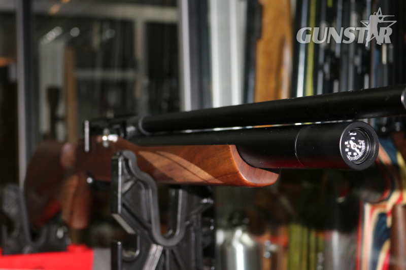 FX Airguns DREAMLINE CLASSIC .22