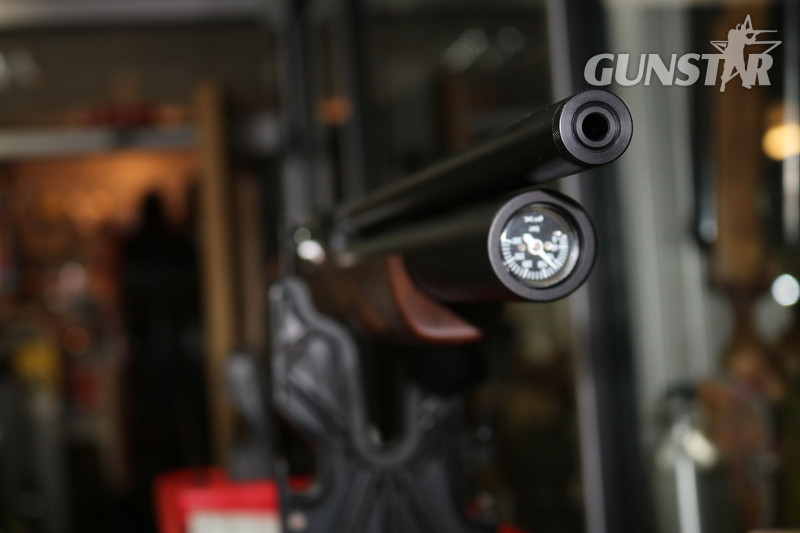  FX Airguns DREAMLINE CLASSIC .22