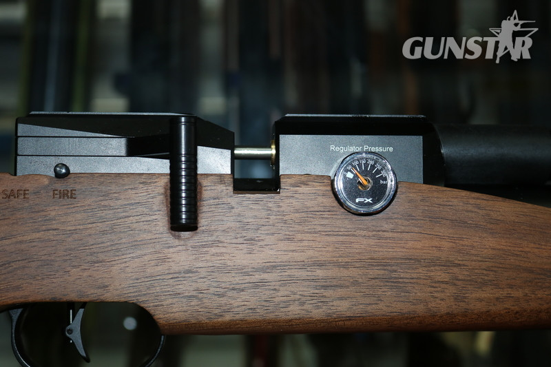 FX Airguns DREAMLINE CLASSIC .22 - {CATEGORY} in 