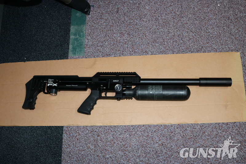 FX Airguns IMPACT .25