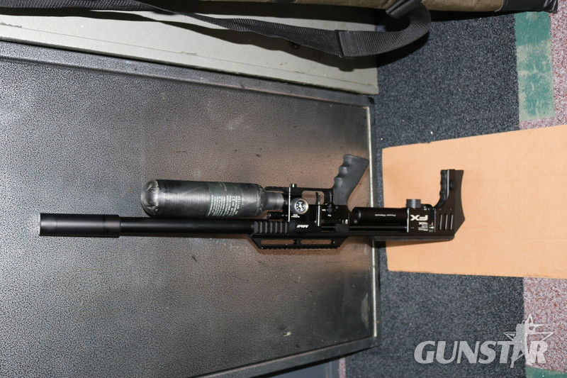  FX Airguns IMPACT .25