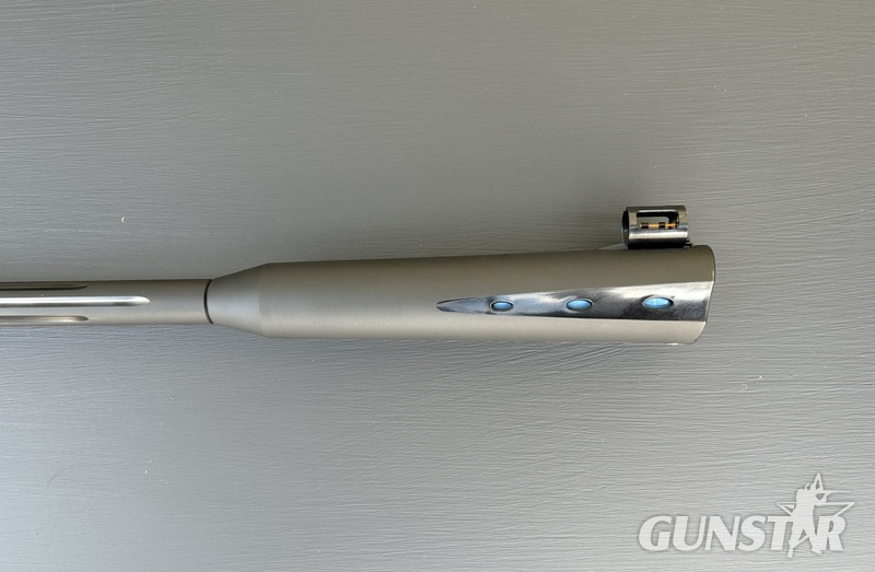 Gamo Whisper Sting .177 - {CATEGORY}