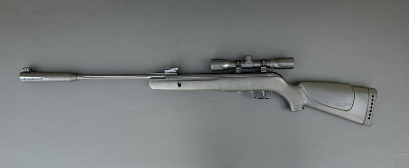 Gamo Whisper Sting .177 