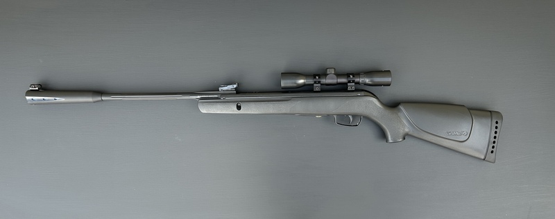 {CATEGORY} - Gamo Whisper Sting .177 in 