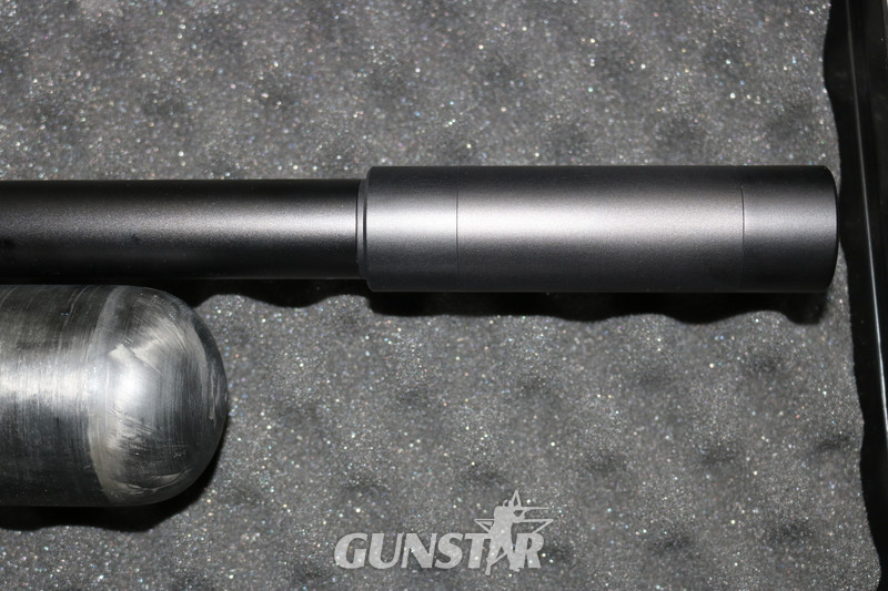 FX Airguns IMPACT .22 