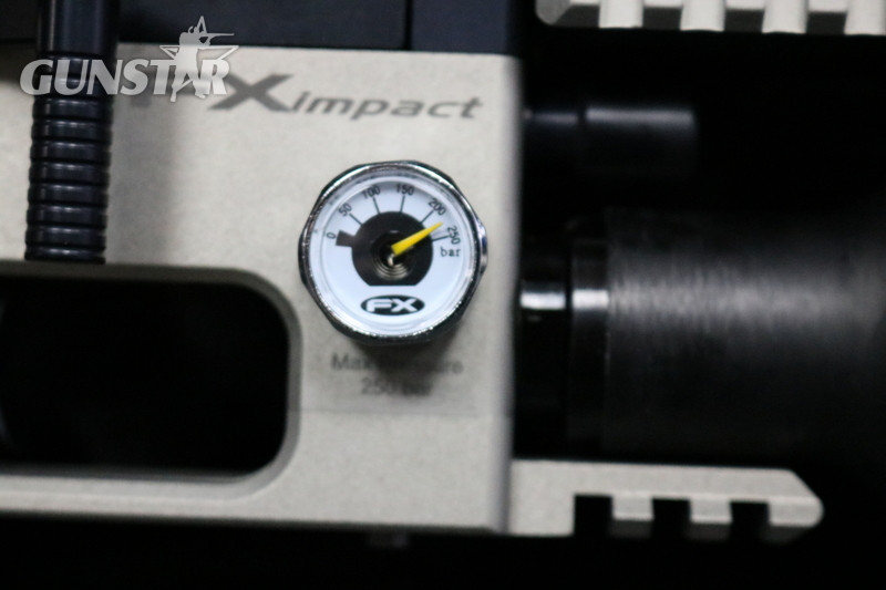  FX Airguns IMPACT .22