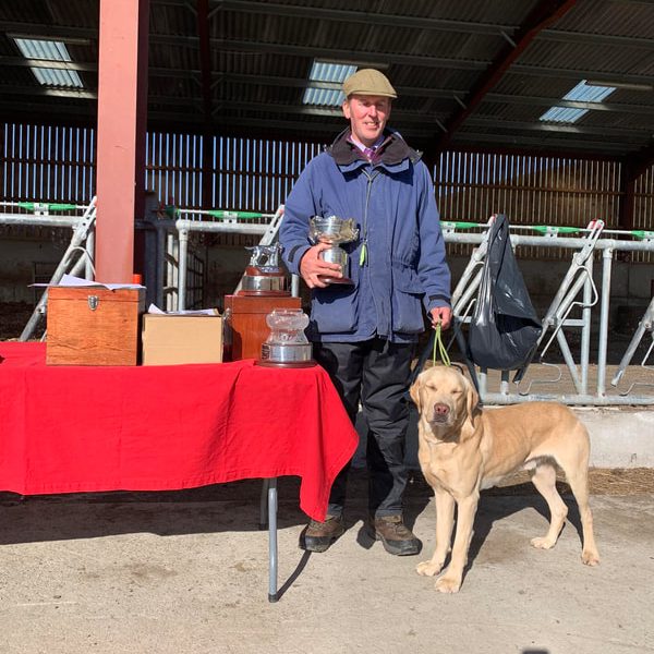 KC working labradors x OFTW Bluecreek curtis cash - {CATEGORY}