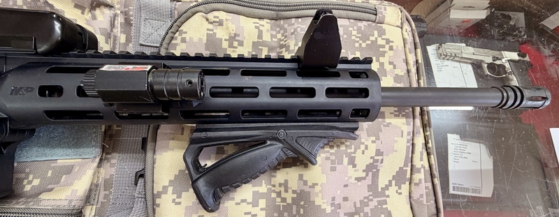 Smith & Wesson  MP 15?22. Semi-Auto .22 Rifle