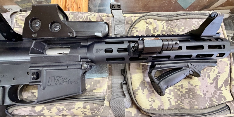  Smith & Wesson  MP 15?22. Semi-Auto .22 Rifle