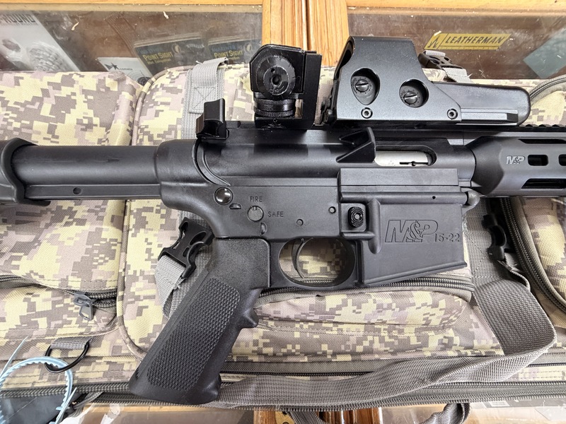 Smith & Wesson  MP 15?22. Semi-Auto .22 Rifle - {CATEGORY} in 