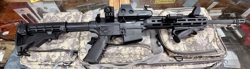 Smith & Wesson  MP 15?22. Semi-Auto .22 Rifle 