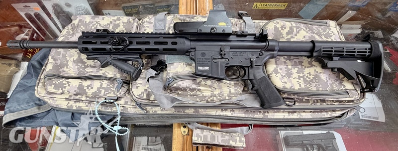 Smith & Wesson  MP 15?22. Semi-Auto .22 Rifle in 