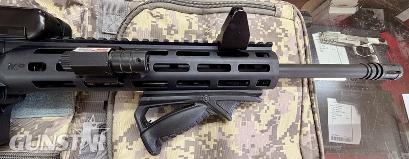 Smith & Wesson  MP 15?22. Semi-Auto .22 Rifle