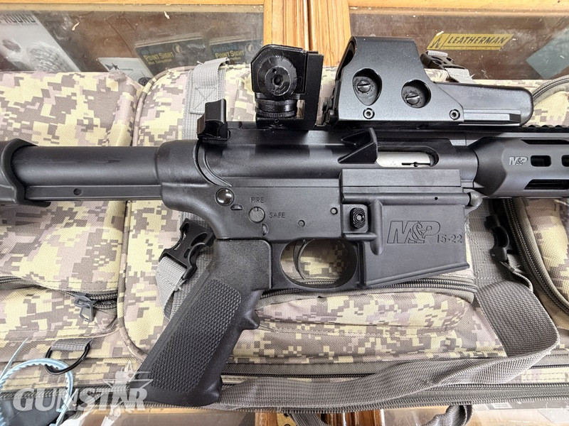 Smith & Wesson  MP 15?22. Semi-Auto .22 Rifle - {CATEGORY} in 