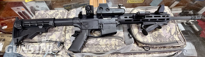 Smith & Wesson  MP 15?22. Semi-Auto .22 Rifle 