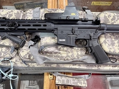 Smith & Wesson MP 15?22. Semi-Auto .22 Rifle