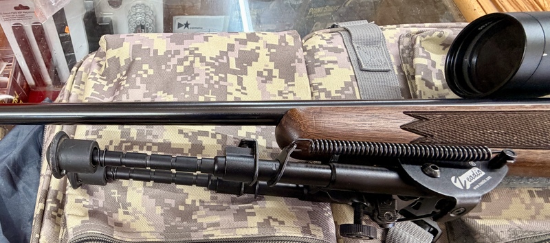 Sako FINFIRE Bolt Action .22 Rifle