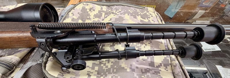 {CATEGORY} - Sako FINFIRE Bolt Action .22 Rifle in 