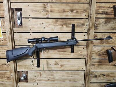 Gamo hornet .22