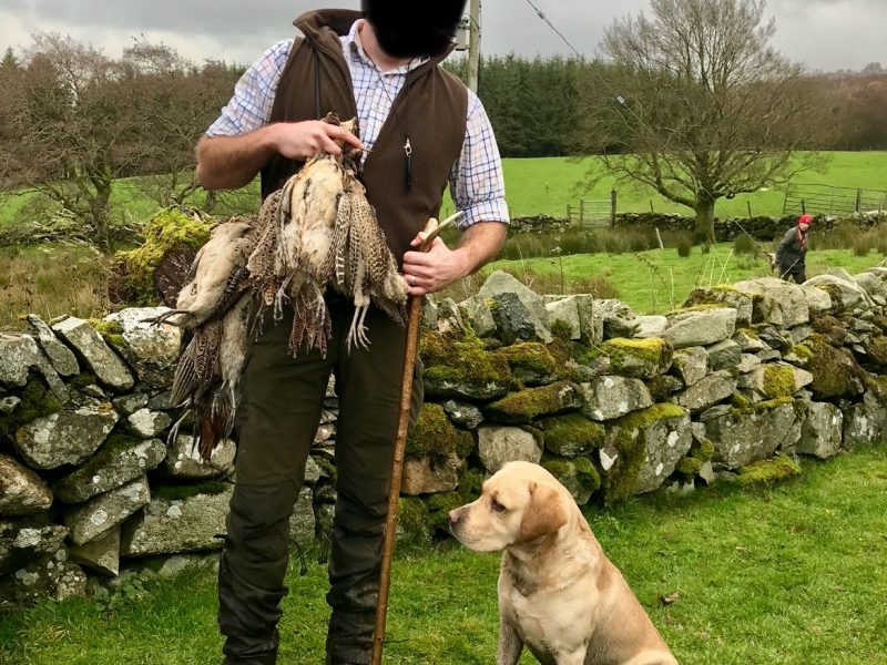 {CATEGORY} - Labrador retriever puppies Leadburn, Buccleuch, Drakeshead, Chatsworth FCCH FTW blood lines