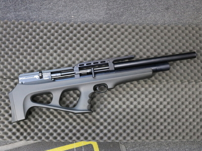 FX Airguns wildcat