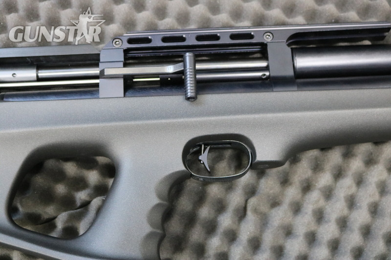  FX Airguns wildcat