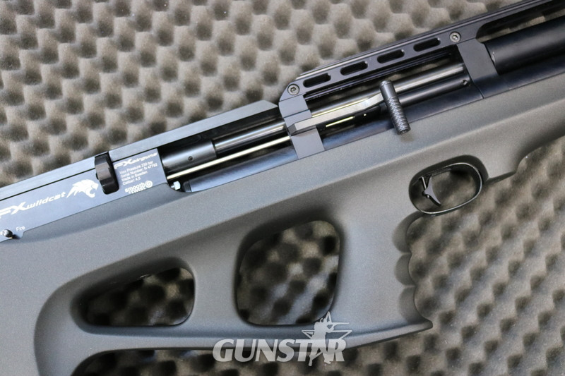 FX Airguns wildcat