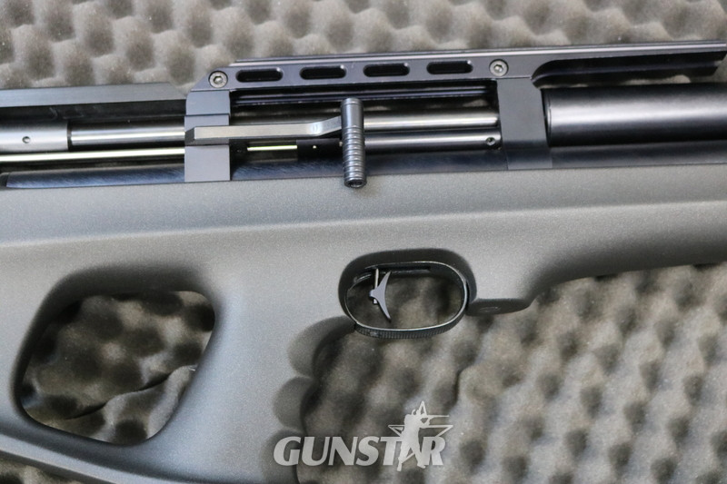  FX Airguns wildcat