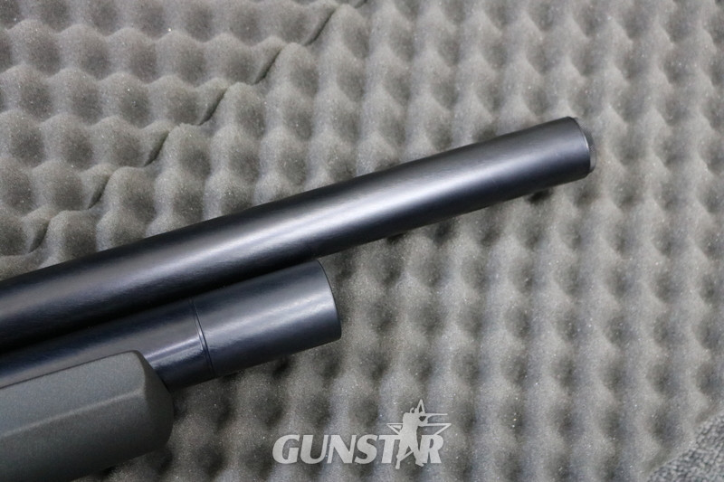 FX Airguns wildcat - {CATEGORY} in 