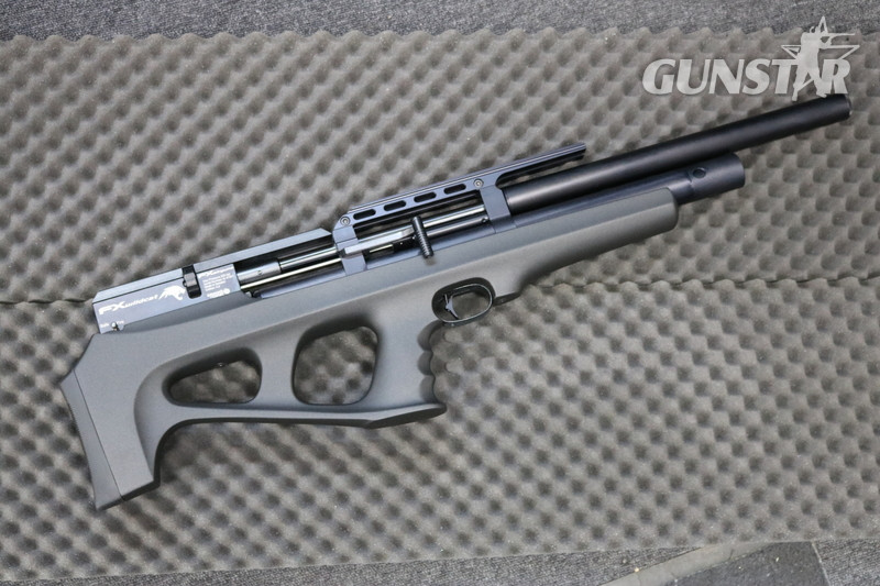 FX Airguns WILDCAT .177 in 