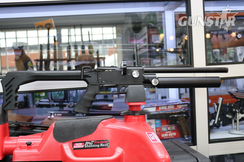 FX Airguns DREAMLINE LIGHT .22 in 