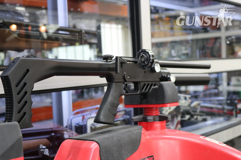 FX Airguns DREAMLINE LIGHT .22