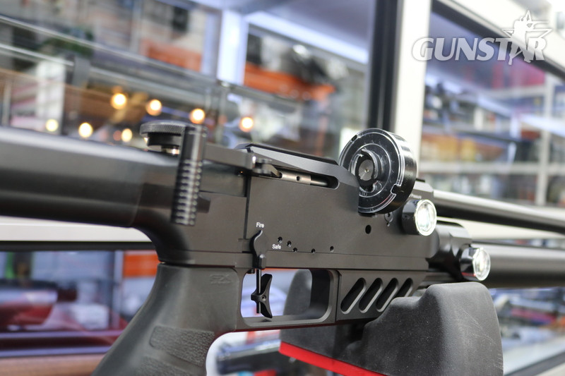FX Airguns DREAMLINE LIGHT .22 