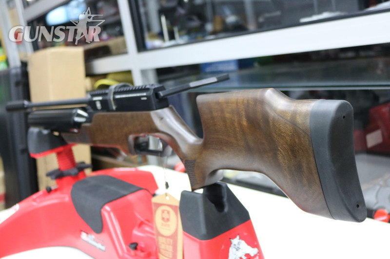 ATA Arms airborne .22 in 