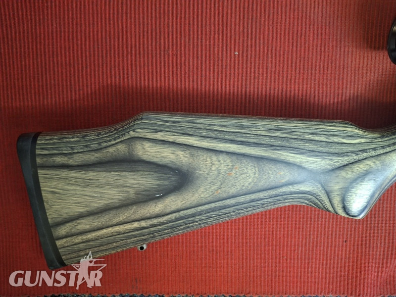 Marlin 917 VS Bolt Action .17 Rifle