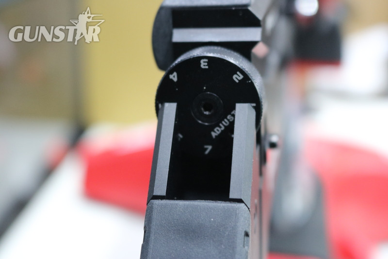 FX Airguns MAVERICK BLACK COMPACT - {CATEGORY}