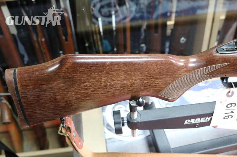 Savage Arms Model 110 .22-250REM Bolt Action  Rifle - {CATEGORY} in 