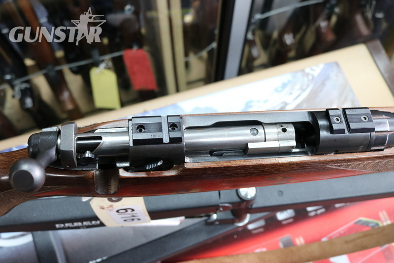 Savage Arms Model 110 .22-250REM Bolt Action  Rifle - {CATEGORY}