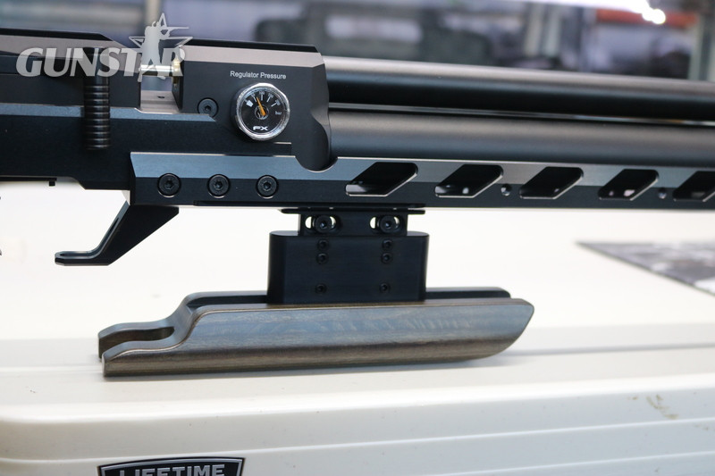 FX Airguns dreamline field target .177 - {CATEGORY} in 