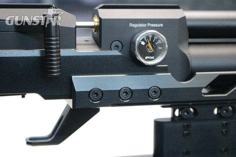 FX Airguns dreamline field target .177 - {CATEGORY}