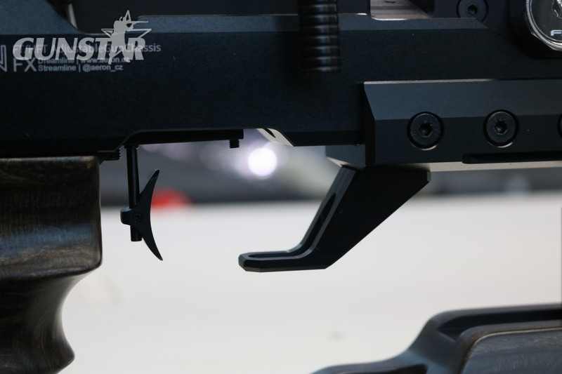 FX Airguns dreamline field target .177 