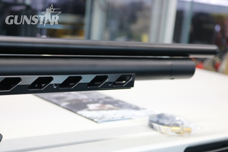 {CATEGORY} - FX Airguns dreamline field target .177 in 
