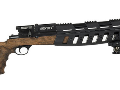 Lee Enfield Sentry .177