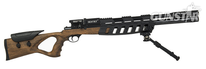 Lee Enfield Sentry .177 in 