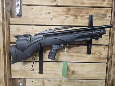 Daystate Renegade .22