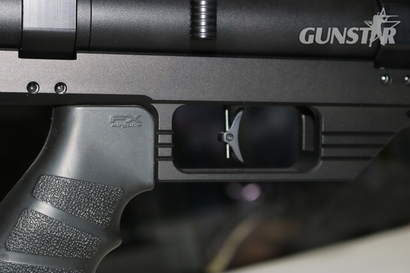 FX Airguns Maverick .22 