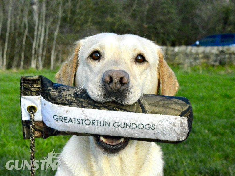{CATEGORY} - FTCH X IGL CHAMPION 2016 DAUGHTER in 
