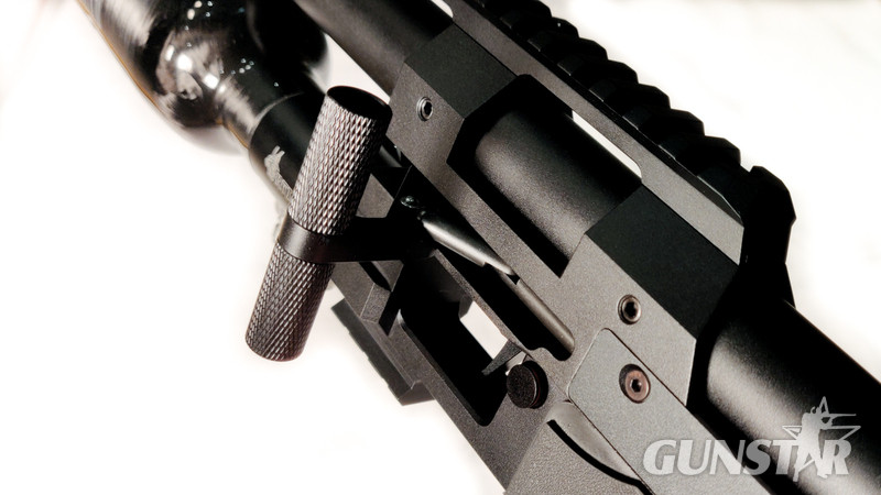 RTI Arms performance .25 
